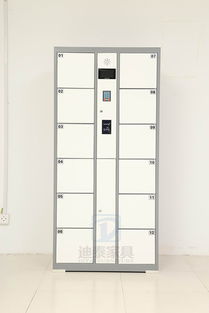 临清IC卡联网存包柜 城市智能存储的新标杆